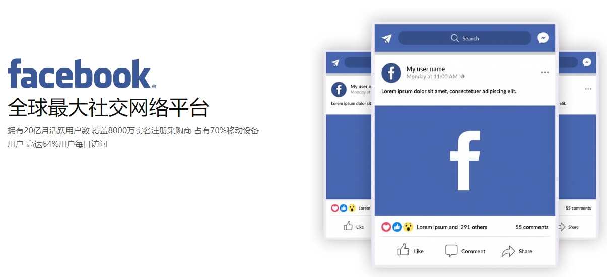 菏泽海外社交媒体营销  第1张